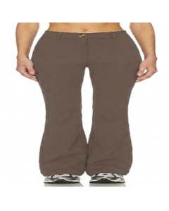 Lady's trousers